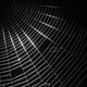 Illustration for article titled Spiders Dosed With Graphene Can Spin Stronger Silk